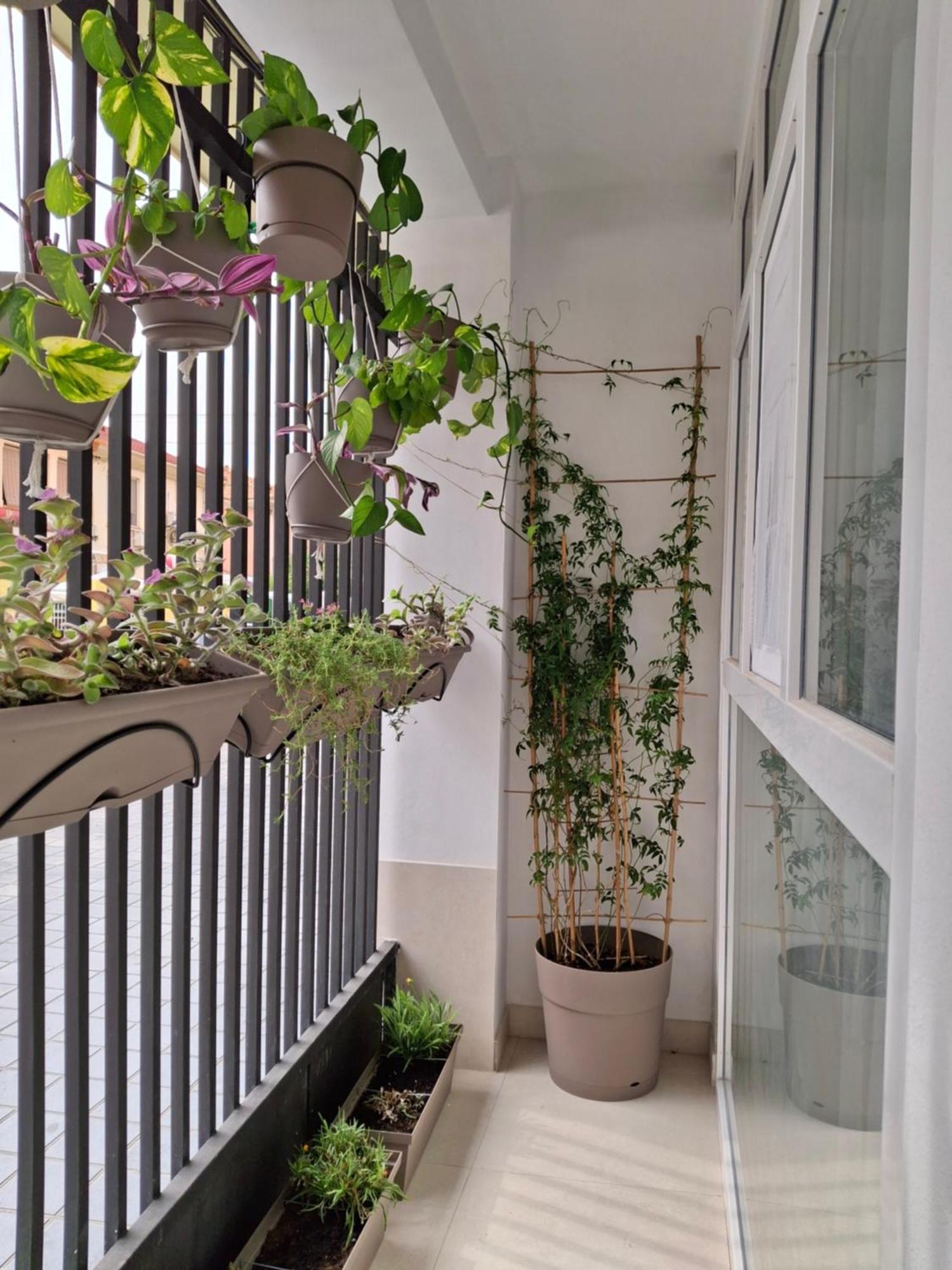 Bonito Apartamento De 2 Habitaciones Cerca De La Estacion Joaquin Sorolla Valencia Ngoại thất bức ảnh